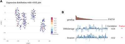 FAT10 is a Prognostic Biomarker and Correlated With Immune Infiltrates in Skin Cutaneous Melanoma